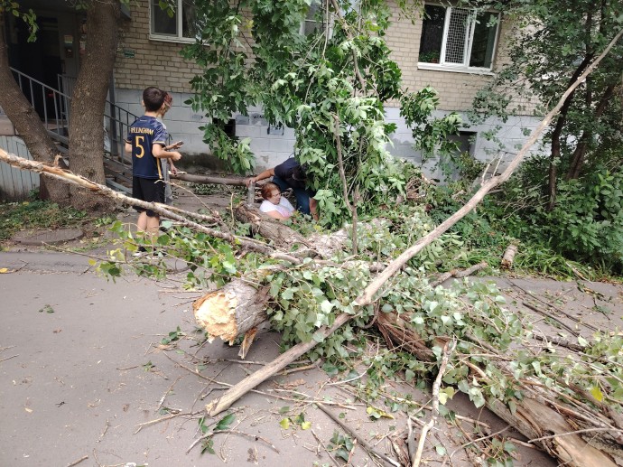 В Пензе во время урагана дерево упало на пенсионерку