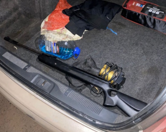 В Саранске двое молодых людей пытались заработать на сбыте пневматики, но угодили на скамью подсудимых