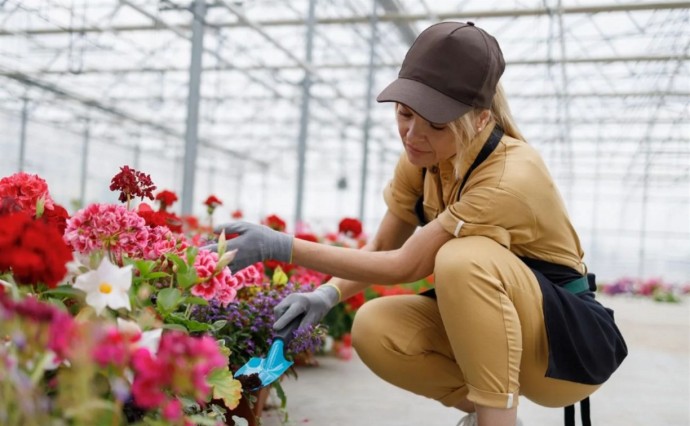 Через общественные работы к зарплате: почти 500 сахалинцев нашли занятость в 2025 году