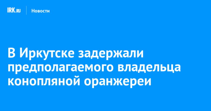 В Иркутске задержали предполагаемого владельца конопляной оранжереи В Иркутске задержали предполагаемого владельца конопляной оранжереи