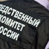 СК возбудил уголовное дело о нападении на полицейских в подмосковном суде