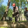 Последствия шторма в Петербурге устраняют 840 дворников и более полутысячи спецмашин