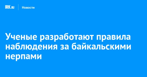 Ученые разработают правила наблюдения за байкальскими нерпами