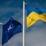 New York Times: В НАТО опасаются срыва саммита Альянса из-за разногласий по Украине