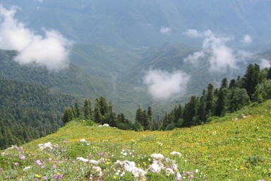 Расправившийся с семейной парой в «Логове Дьявола» мужчина оказался учителем