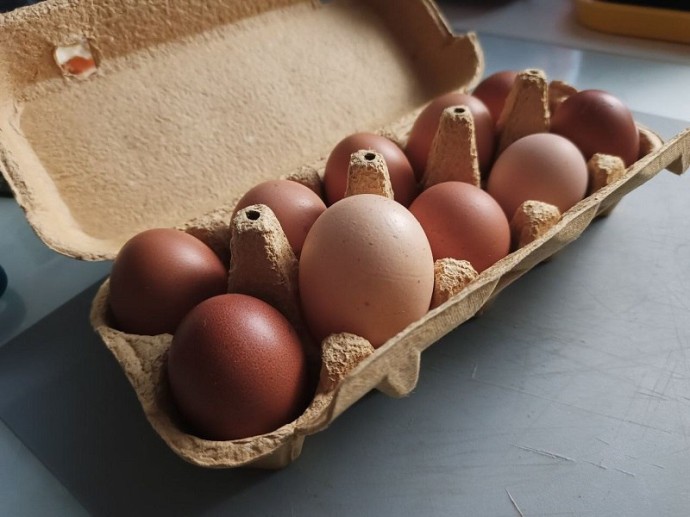 В Пензенской области подешевели некоторые продукты