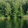 Популярные водоемы в Саранске закрыты для купания