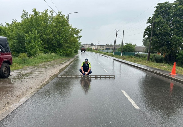 В Мордовии судят водителя, который отвлекся на свинью в салоне и насмерть сбил человека
