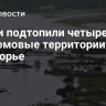 Ливни подтопили четыре придомовые территории в Приморье