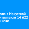 За неделю в Иркутской области выявили 14 622 случая ОРВИ