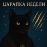 Царапка недели: Лучше шипеть в тени, чем сгореть на солнце чужих ожиданий