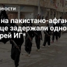 СМИ: на пакистано-афганской границе задержали одного из главарей ИГ*