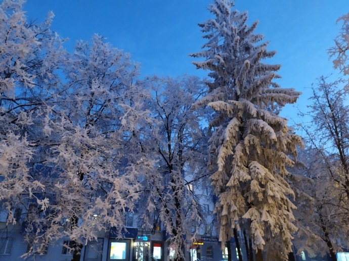 Когда в Башкирию придет настоящая зима