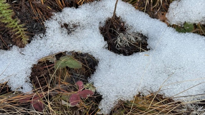 В Башкирии удивили прогнозом на ноябрь и декабрь