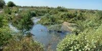 «Астрводоканал» заплатит более 4 миллионов за озера нечистот во дворах Астрахани