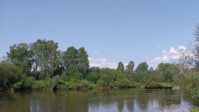 В начале недели в Башкирии ожидаются дождь, гроза и ветер