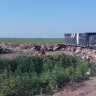 Громадная свалка выросла на окраине амурского села
