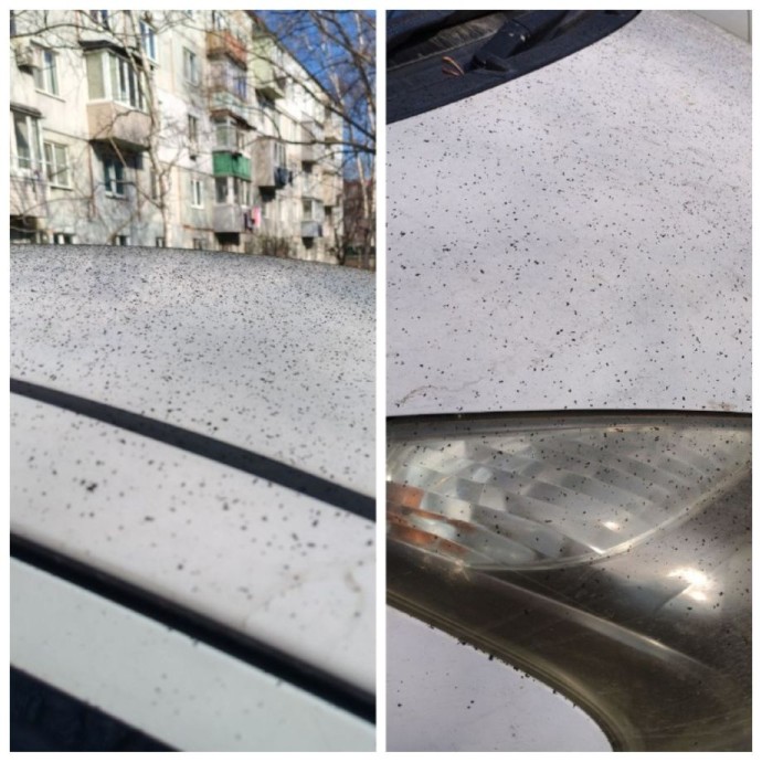 Котельная на Рыбацкой улице загрязняет воздух в Находке