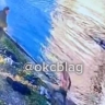 В благовещенском парке Дружбы девушку вытащили из ледяной воды