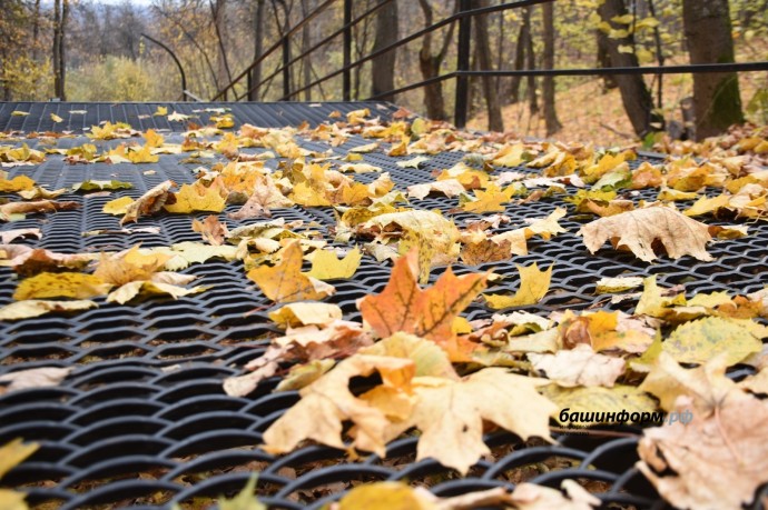В Башкирии начнутся дожди
