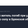 Мирный житель погиб при ударе БПЛА по селу в Брянской области