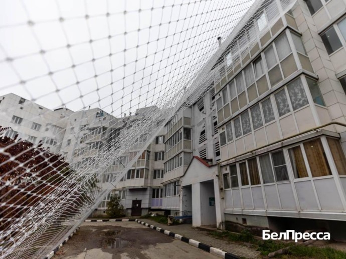 Гладков: «205 домов и соцобъектов в приграничье закрыли антидроновыми сетками»