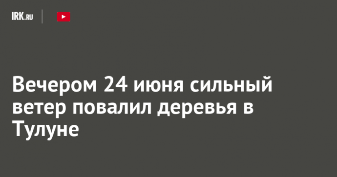 Вечером 24 июня сильный ветер повалил деревья в Тулуне