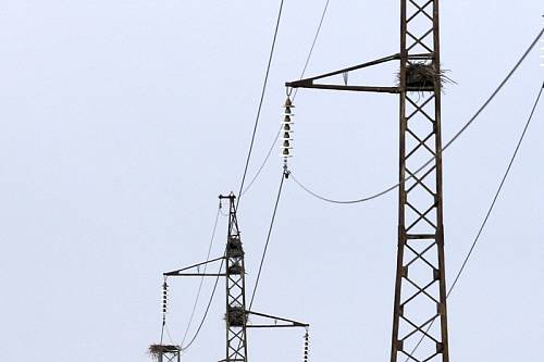 Энергетики вернули свет всем амурчанам, чьи дома были обесточены шквалом