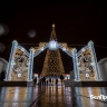 В Белгороде на Соборной площади планируют установить новогоднюю ёлку, но катка не будет