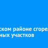 В Братском районе сгорели 30 дачных участков