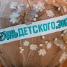 Юные авторы в Ленобласти представили свои работы на конкурс детского экологического кино