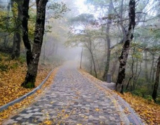 В Башкирии будет холодно, возможны дожди и заморозки