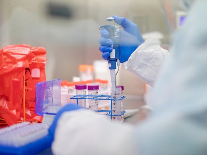 Разработан новый препарат, который помогает запускать процессы заживления — NewAtlas