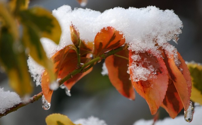 Немного дождя и снега прогнозируют в Сахалинской области 9 ноября