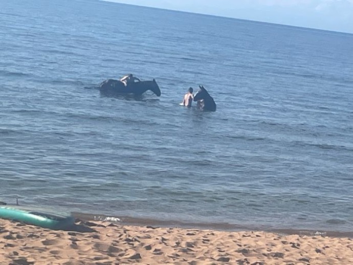 В Бурятии неизвестные помыли лошадей прямо в Байкале