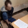 Комментарии довели до уголовного дела: кировчанина задержали за реабилитацию нацизма