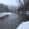 В Курской области намерены пресечь самовольный захват берегов водоёмов