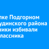 В поселке Подгорном Нижнеудинского района школьники избивали второклассника