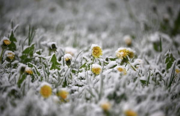 Синоптики предупредили о похолодании в столичном регионе