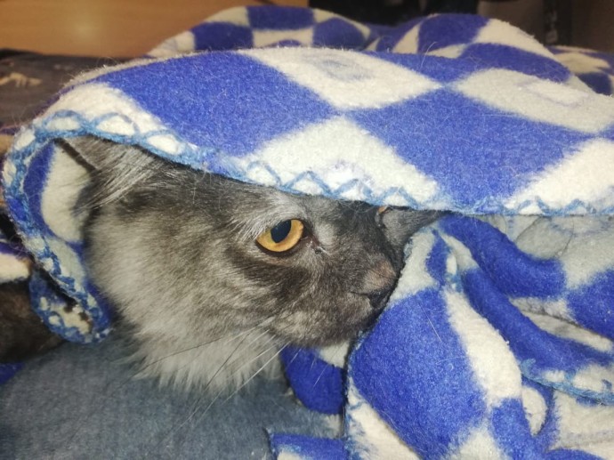 Похолодание наступает: что метеорологи обещают астраханцам 16 октября Похолодание наступает: что метеорологи обещают астраханцам 16 октября