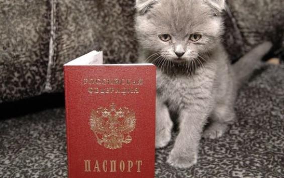 В Госдуме предложили ввести обязательную регистрацию домашних животных по всей России