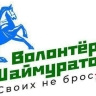 Объявлен конкурс на создание гимна волонтерского движения в Башкирии