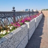 В парках и скверах Астрахани продолжают высаживать цветы