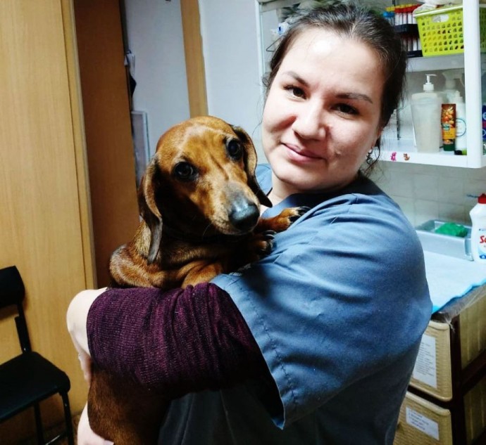 «Привезли питомца и бросили его»: о новом тренде для работающих приморцев