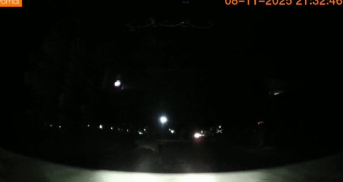 В часе езды от Владивостока заметили тигра В часе езды от Владивостока заметили тигра