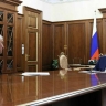 Володин рассказал Путину о перечне оснований для лишения мигрантов гражданства