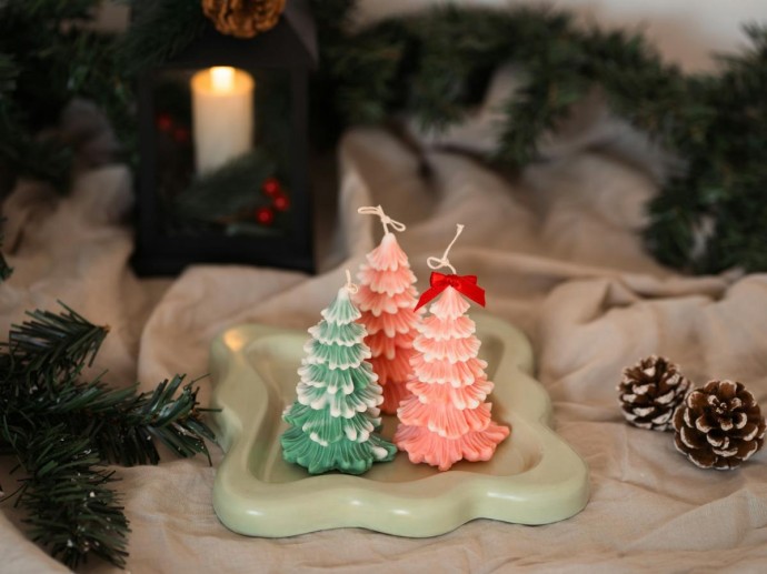 Неочищенные сосновые шишки повышают риск порчи текстиля молью