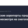 Московские аэропорты продолжают работу, несмотря на снегопад