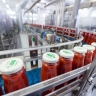 В СФ предлагают разработать чёткие критерии для статуса «российская продукция»