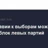 В Молдавии к выборам может быть создан блок левых партий